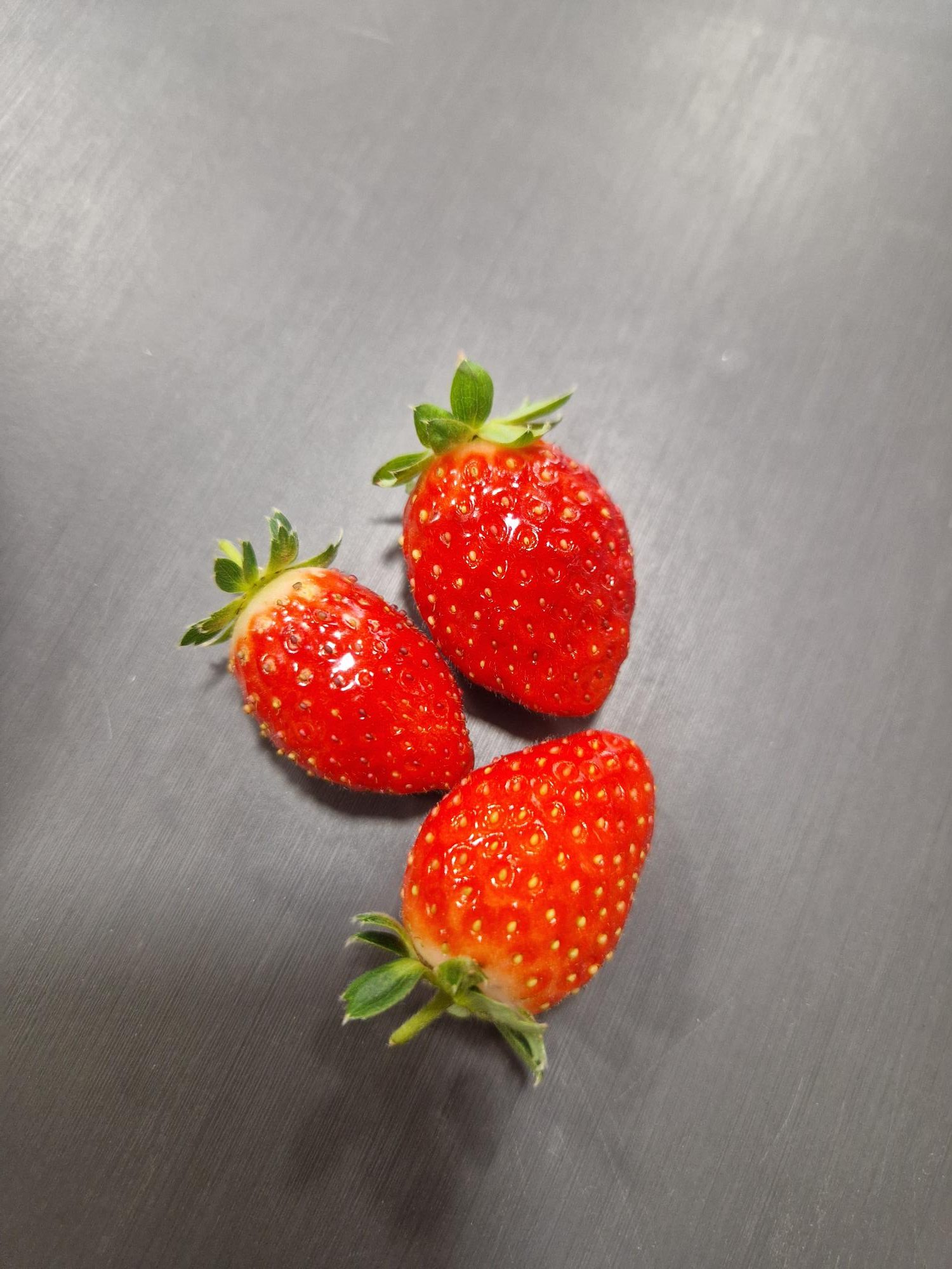vivara-fraises-sas tramier