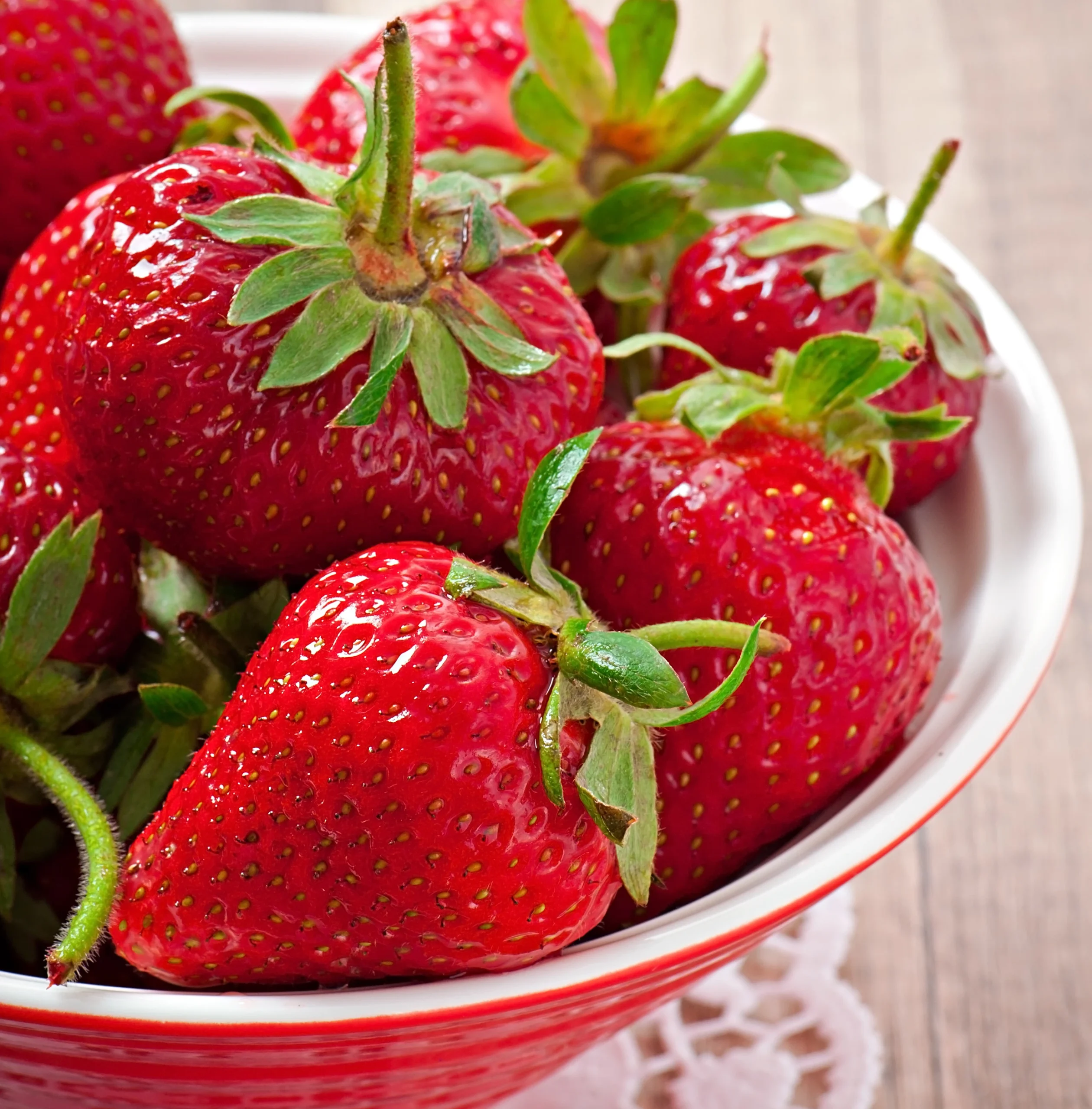 Rabunda-fraisier-tramier