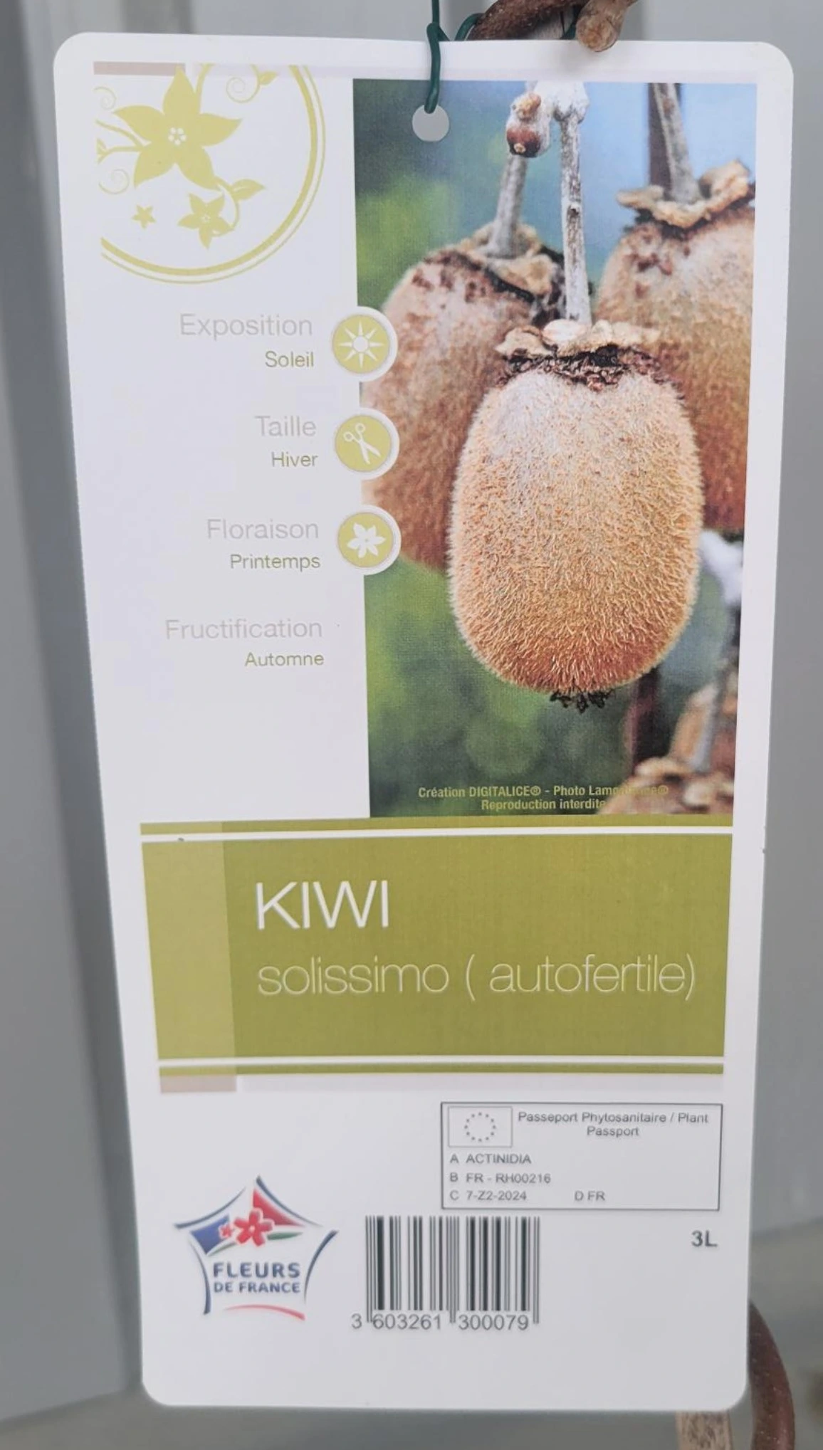 kiwi-autofertile.tramier