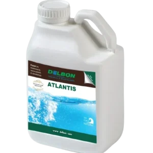 atlantis-tramier