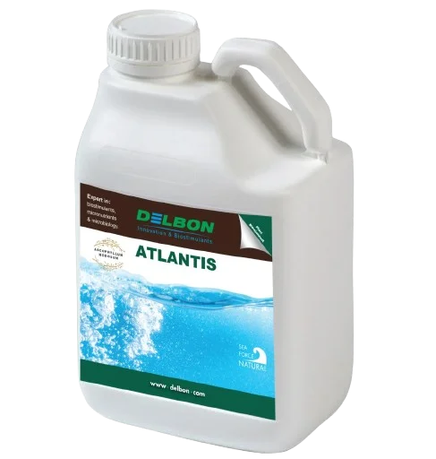 atlantis-tramier