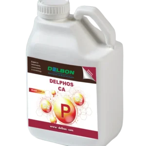 delphosCA-sastramier